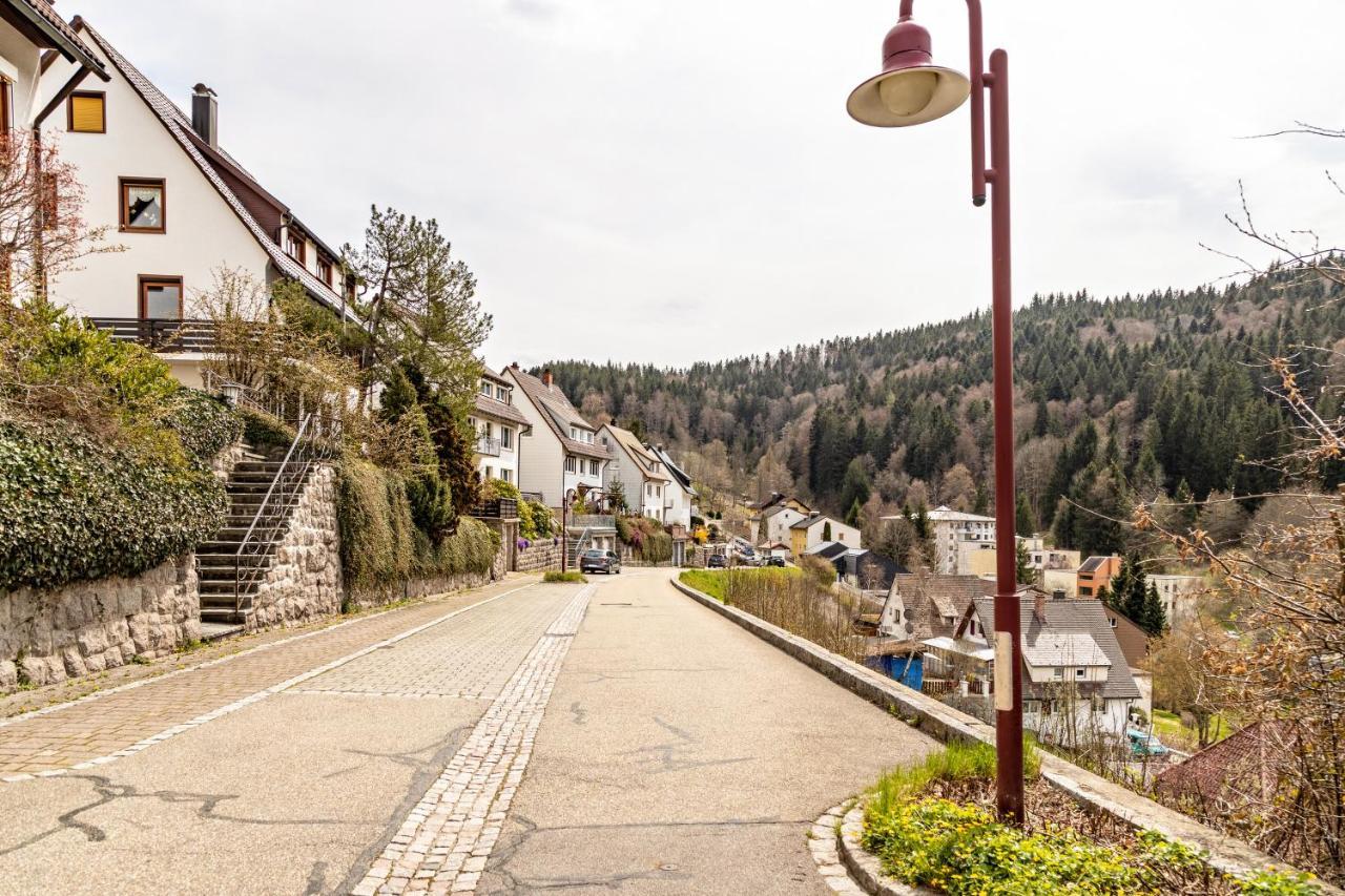 Ferienappartement Sonnenhof Triberg im Schwarzwald Exterior photo